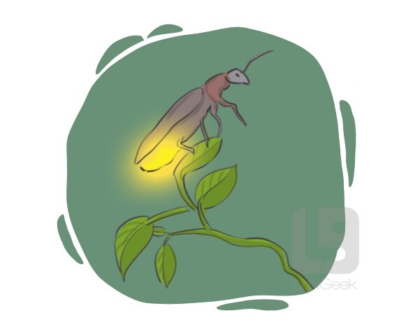 definition-meaning-of-firefly-langeek