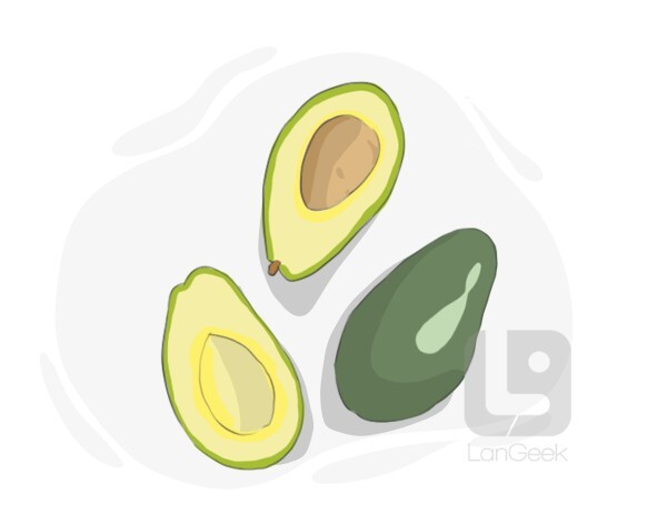 avocado pear definition and meaning