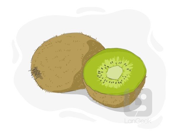 kiwi fruit definition and meaning