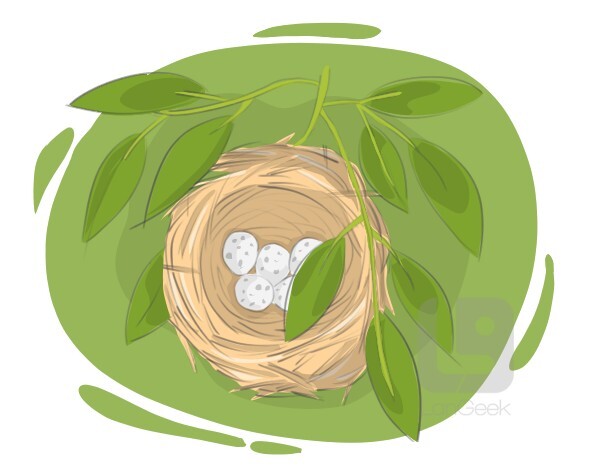 nest definition and meaning