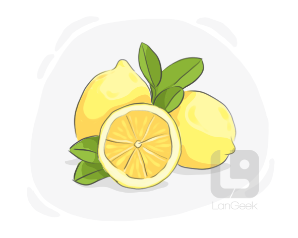 citrus limon definition and meaning