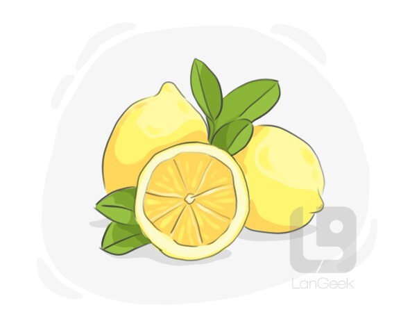 citrus limon definition and meaning