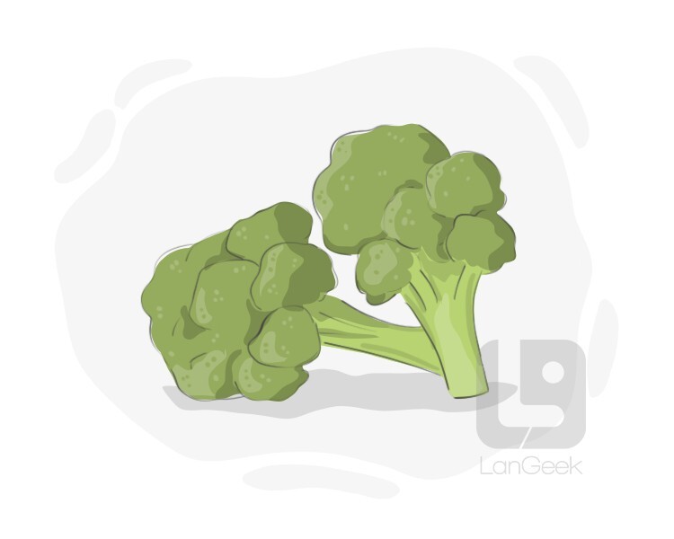 broccoli definition and meaning