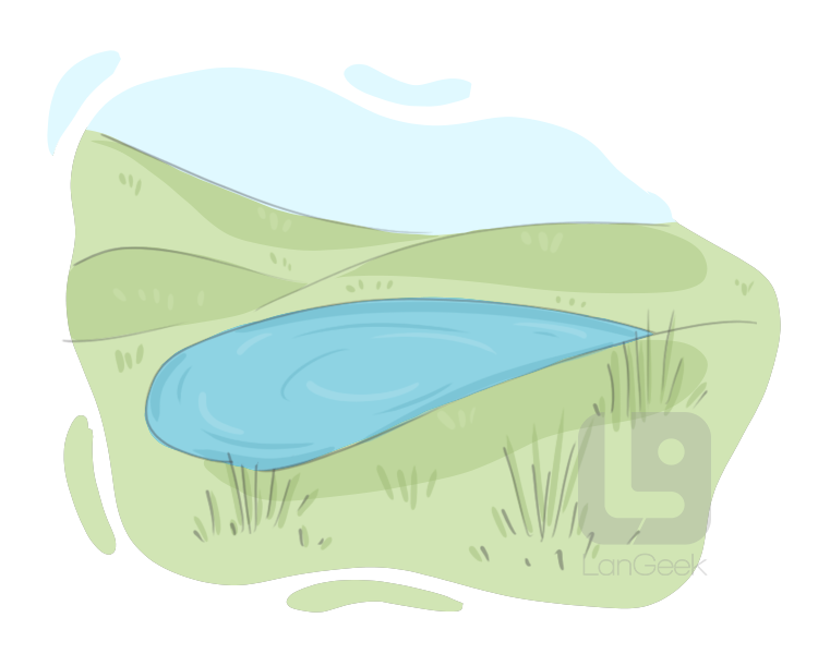 pond definition and meaning