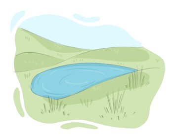 pond
