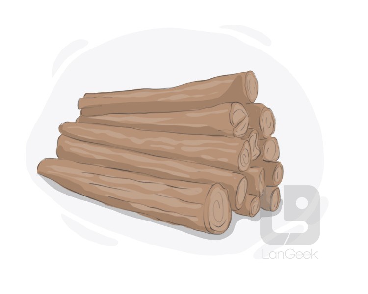 wood definition and meaning