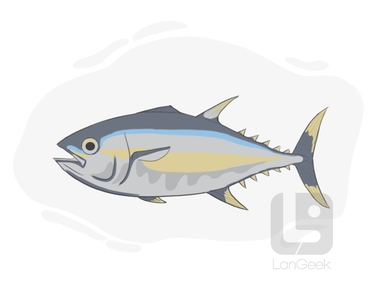 tuna fish definition and meaning