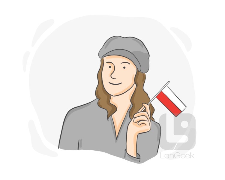 Definition & Meaning of "Polish" LanGeek