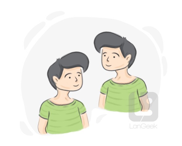 Traducci n De La Palabra Identical Twin LanGeek