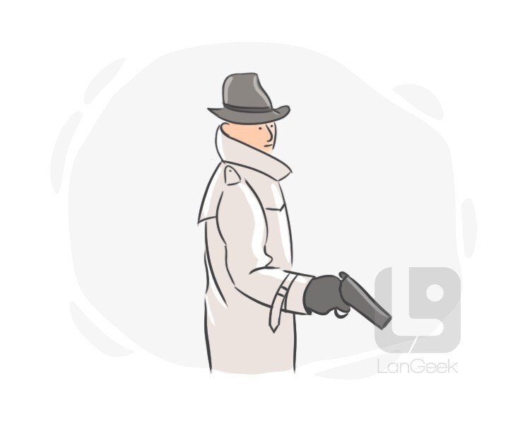 detective definition and meaning
