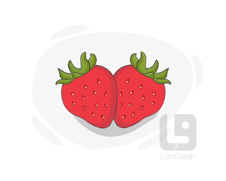Definition & Meaning of "Strawberry" LanGeek