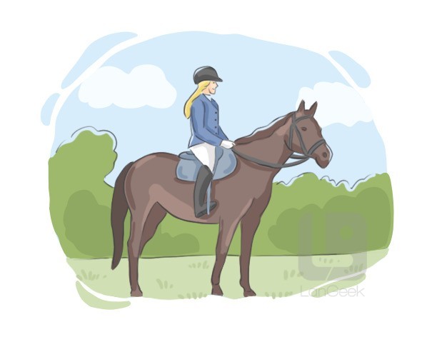 ahorseback definition and meaning