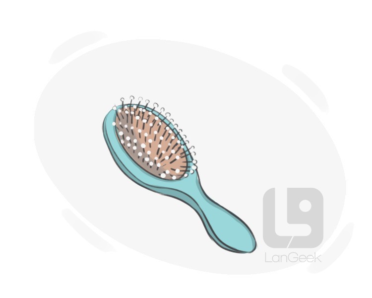 hairbrush definition and meaning