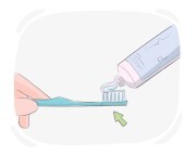 toothbrush