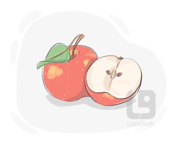 cooking apple definition and meaning
