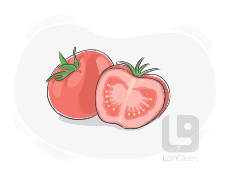 tomato definition and meaning