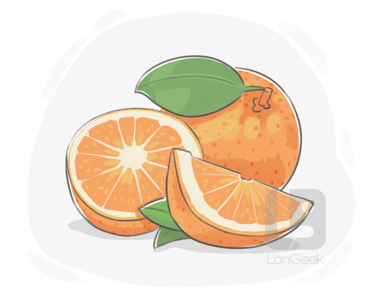 orange definition and meaning