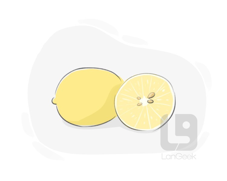 lemon definition and meaning
