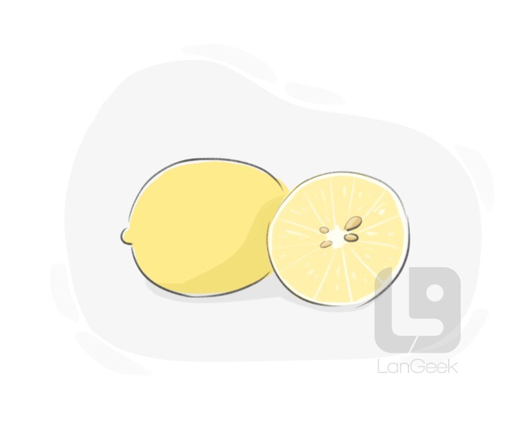 lemon definition and meaning