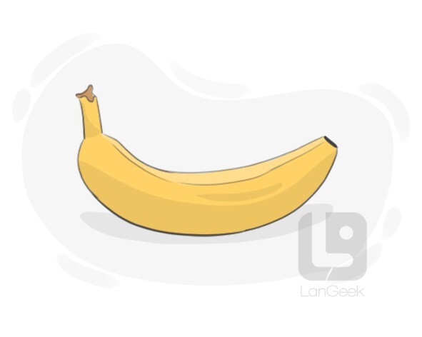 definition-meaning-of-banana-langeek