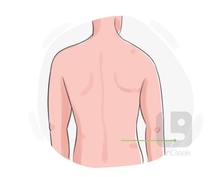 back definition and meaning