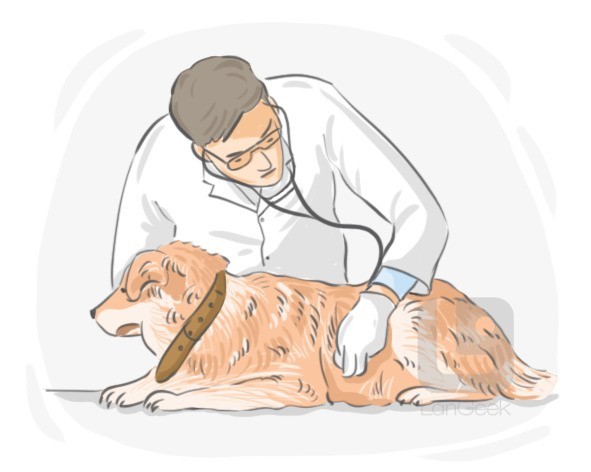 veterinary surgeon definition and meaning