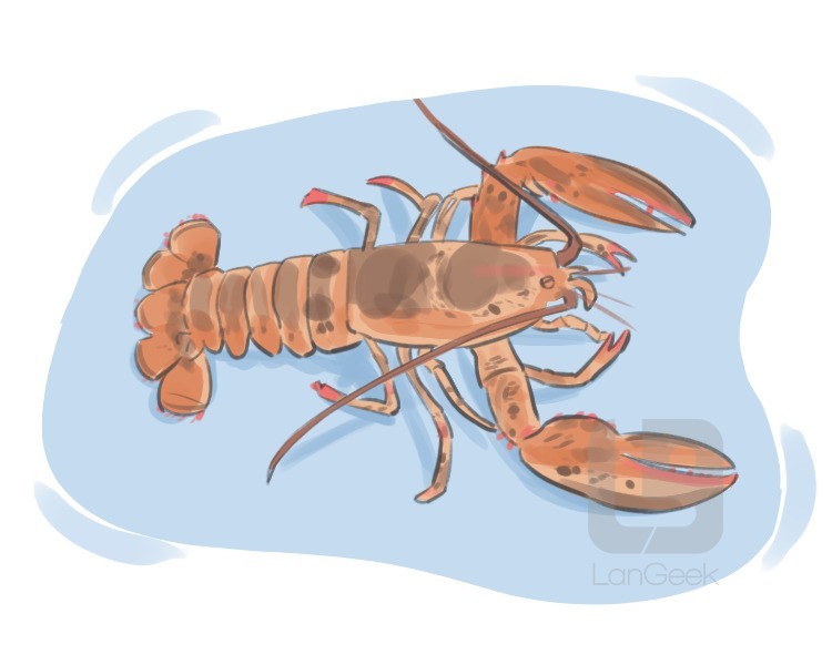 lobster definition and meaning