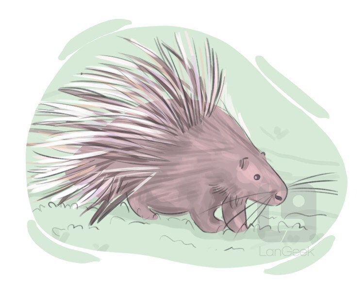 Dusty Pink Porcupine