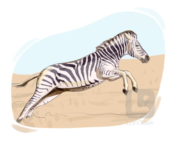 zebra definition and meaning