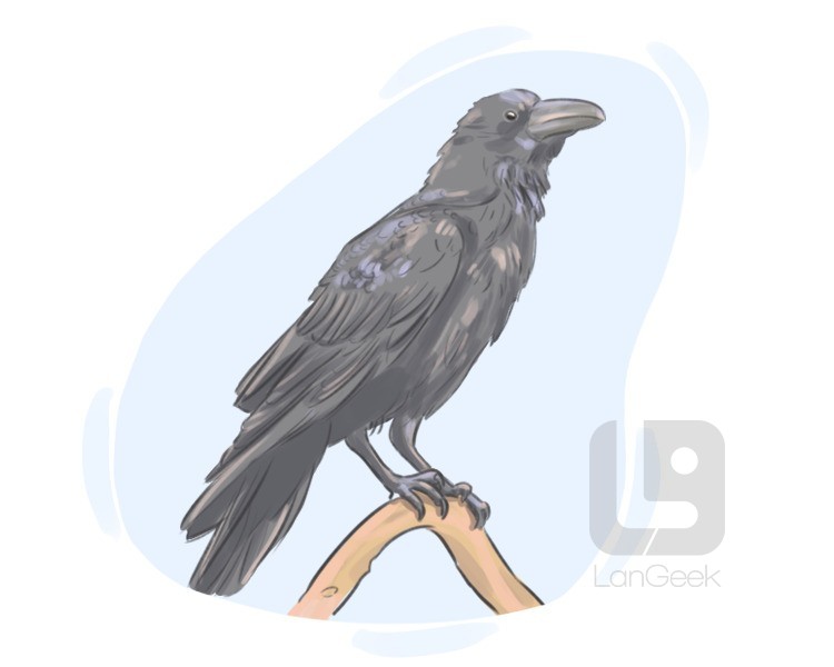 crow definition and meaning