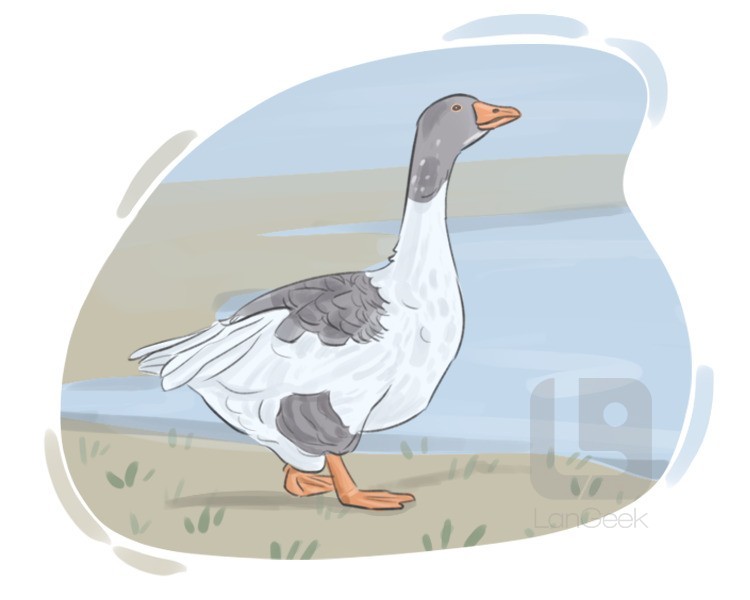 goose definition and meaning