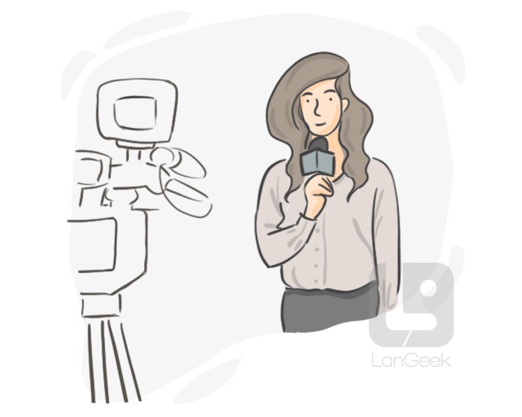 television reporter definition and meaning
