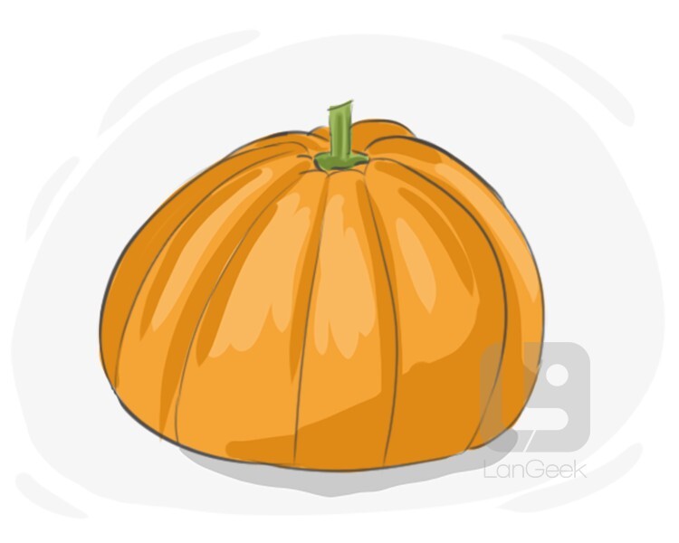 pumpkin definition and meaning