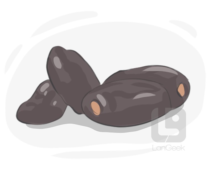 Definition & Meaning of "Date" LanGeek