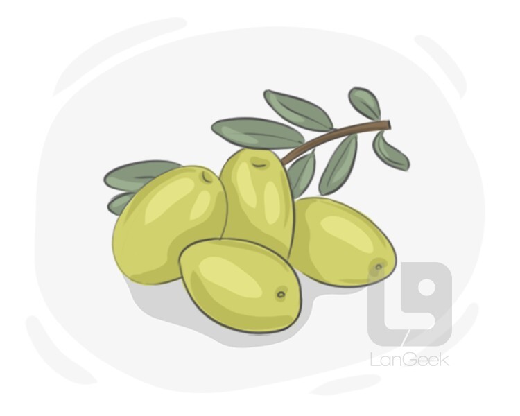 Definition & Meaning of "Olive" LanGeek