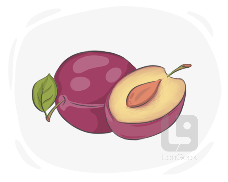 plum definition and meaning