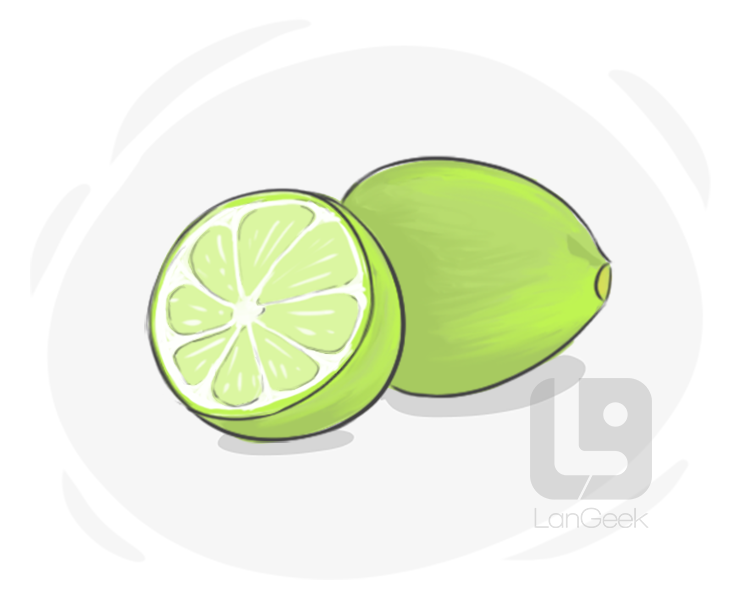 lime definition and meaning