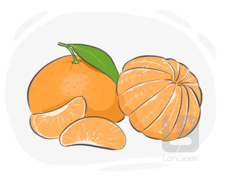 satsuma definition and meaning