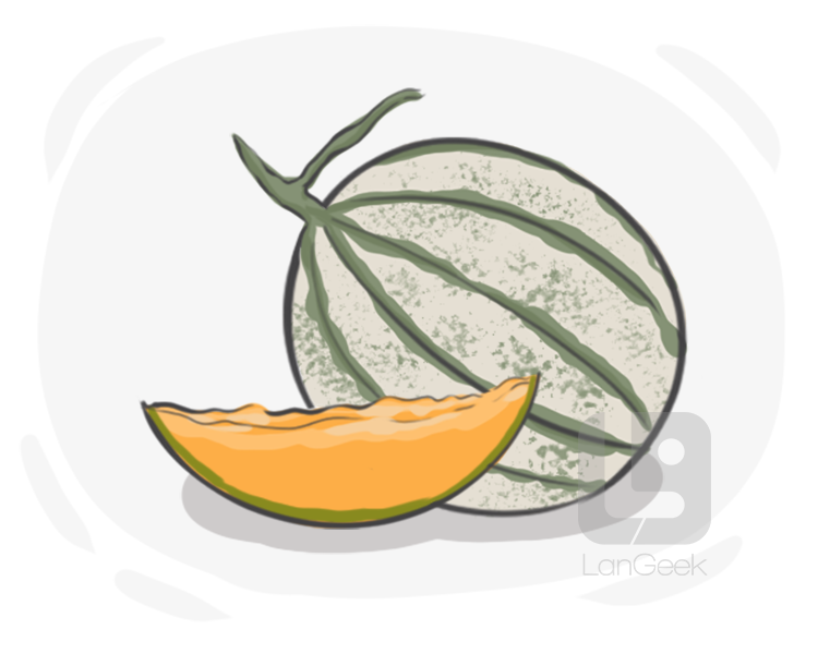 cantaloupe definition and meaning