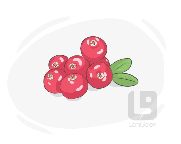 cowberry definition and meaning