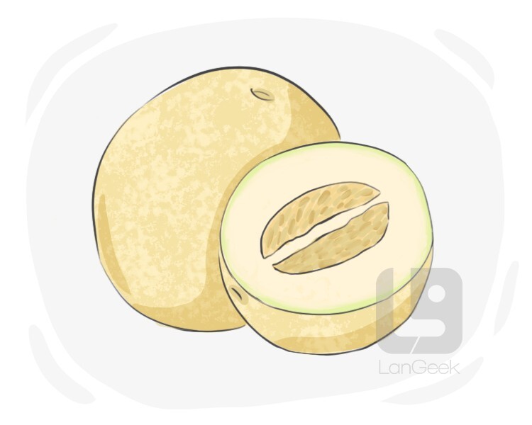 Definition & Meaning of "Melon" LanGeek