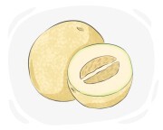 melon