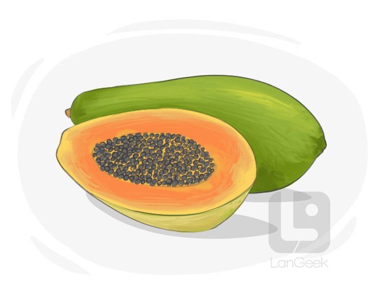papaya definition and meaning
