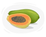 papaya