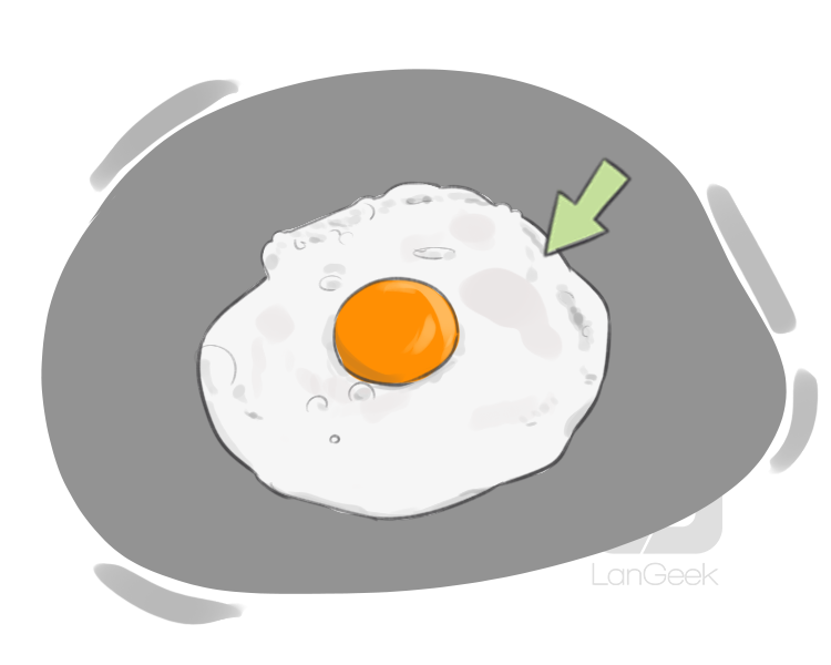 egg white definition and meaning