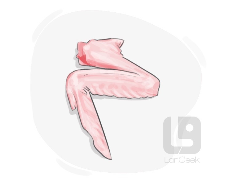 Definition & Meaning of "Wing" LanGeek