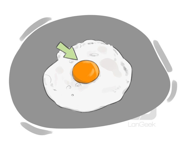 egg yolk definition and meaning