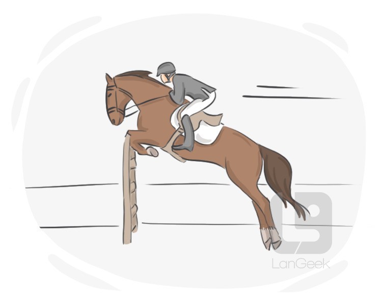 horse riding definition and meaning