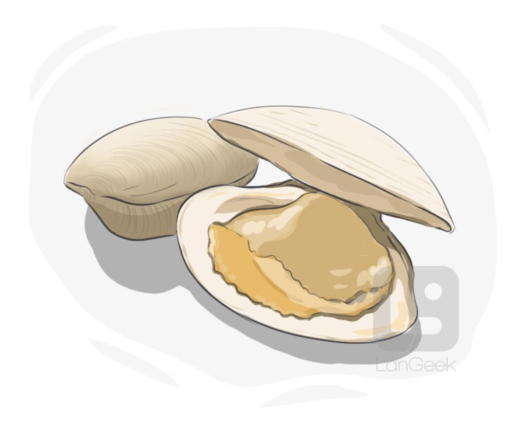 oyster definition and meaning