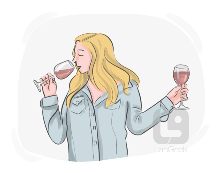 wine tasting definition and meaning